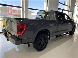 فۆرد F-150